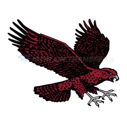 Maryland Eastern Shore Hawks Logo T-shirts Iron On Transfers N49